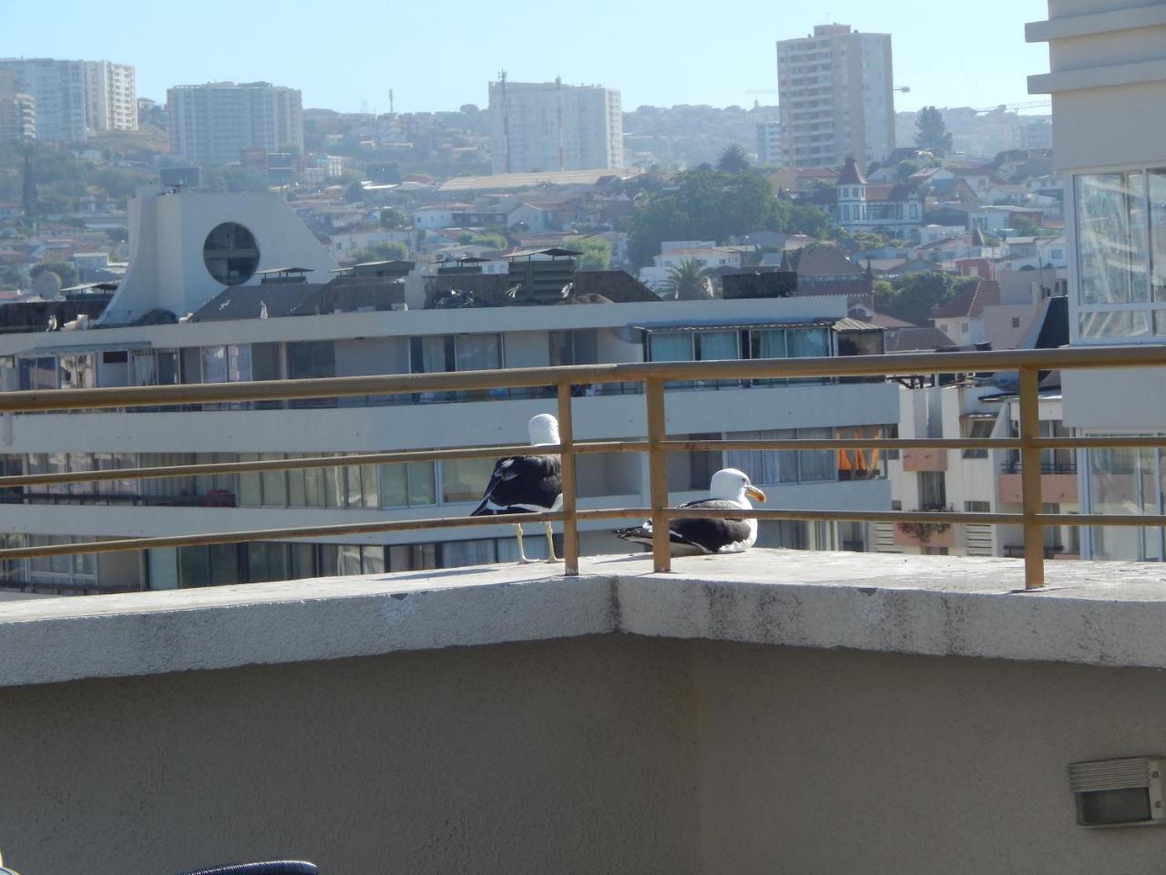 1201 Departamento Vs Centro Vina Apartman Vina del Mar Kültér fotó